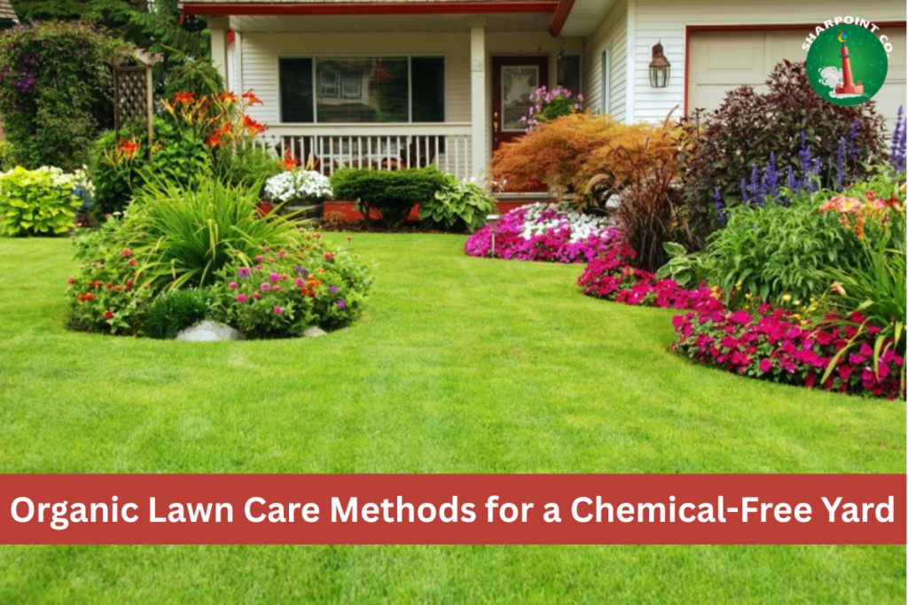 Lawn Care